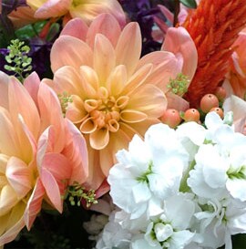 Floral Design Portfolio